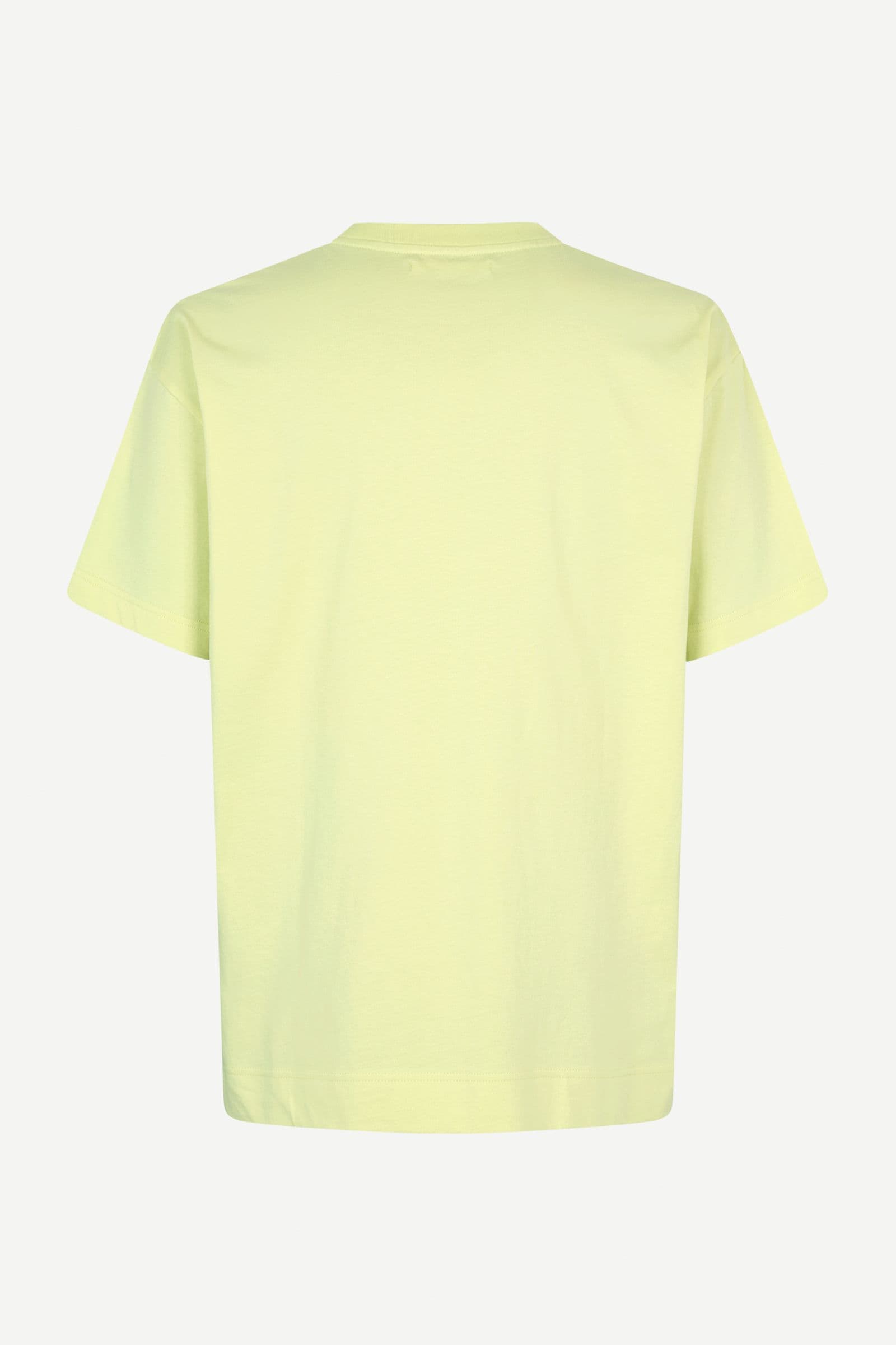 Joel t-shirt 11415 Pale Green