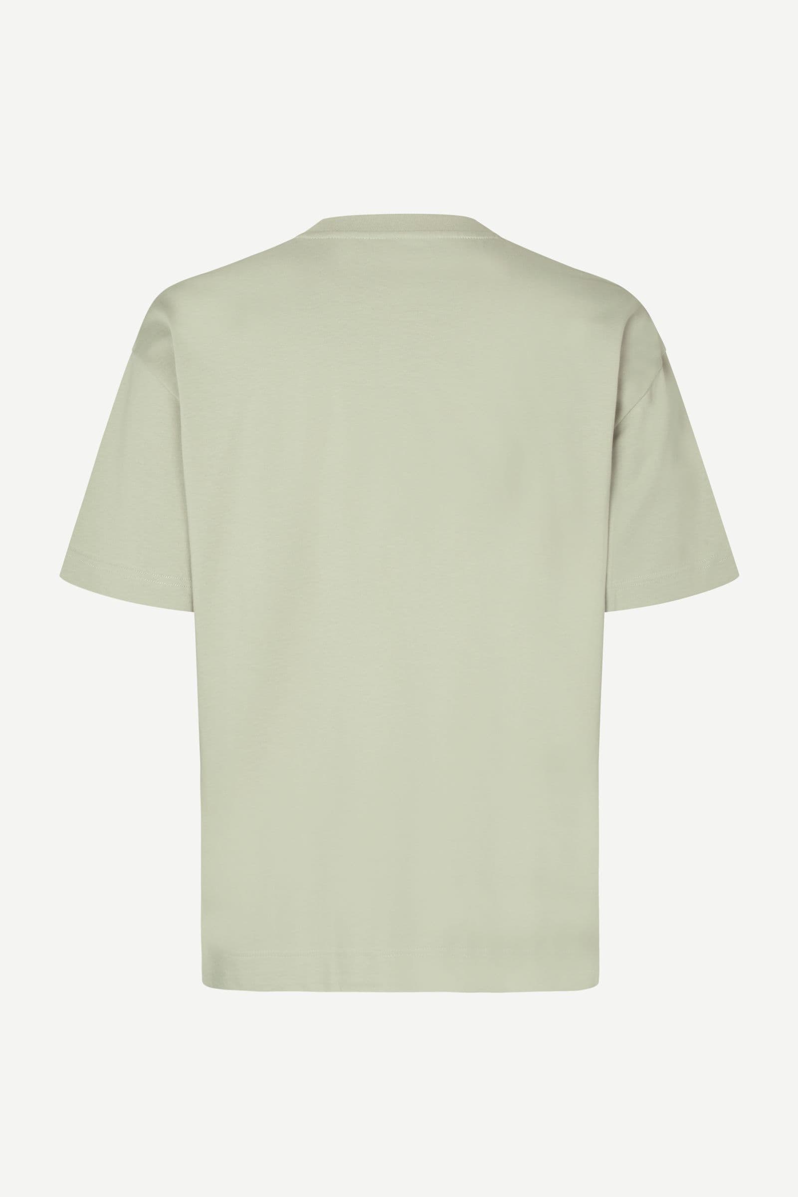 Joel t-shirt 11415 Desert Sage